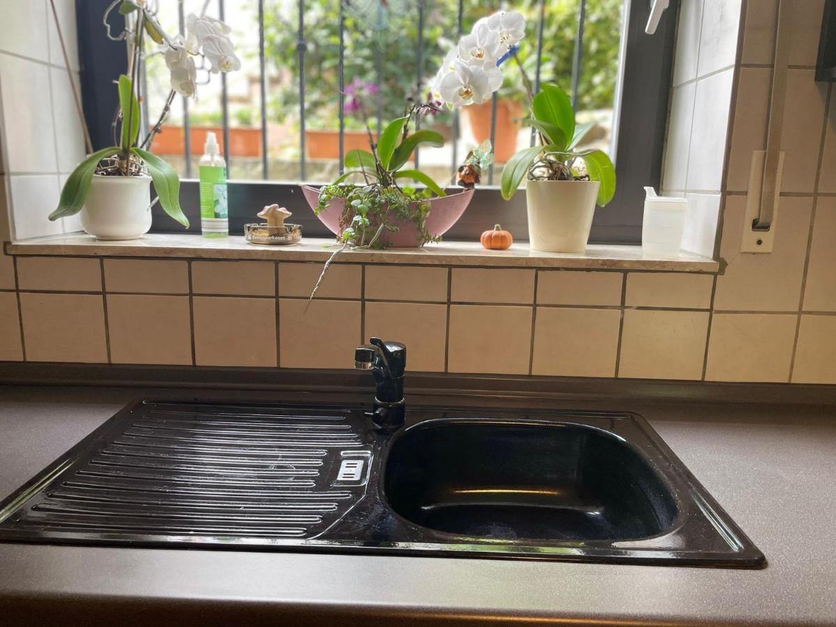 Haus Aurora - Im Gruenen, Zentral Gelegen Apartment สไวบรึคเคิน ภายนอก รูปภาพ